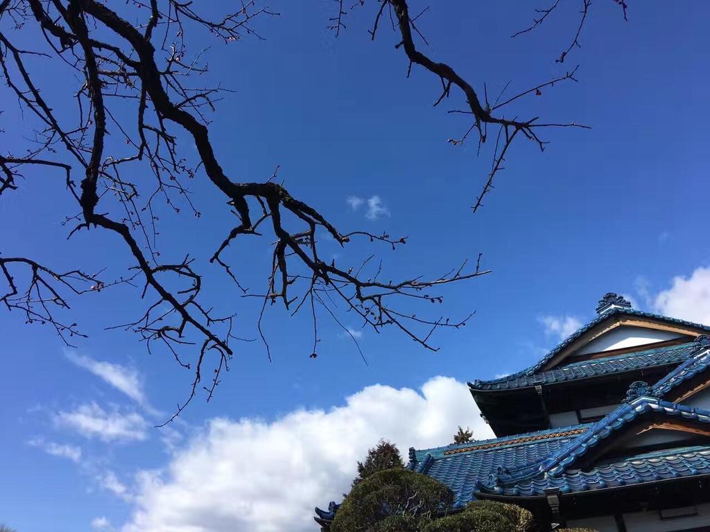 Kougetsu Sanso -- Moon Villa In Tokyo Хатиодзи Экстерьер фото